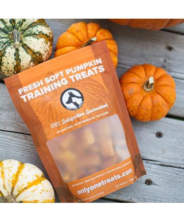 Only One Treats Soft Pumpkin Training Treats (3 X 170g). for Your Family Pets. 100% Gluten Free Organic with no preservatives. Dog Training Treats. 182 g (Pack of 1) Pumpkin (Pack of 3) - Buy Online on GoSupps.com