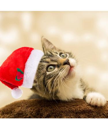 3 PCS - Cat Santa Hat with Jingle Bells Collar & Bow Tie Christmas Costume Set - Adjustable Xmas Outfit for Pets - Buy Online on GoSupps.com