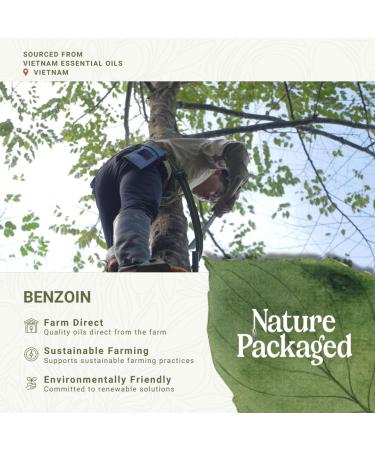 Benzoin Essential Oil - Direct from Malagassi Essential Oils - Pure Natural Benzoin Oil for Skin, Body, and Aromatherapy (15ml) Benzoin 0.5 Fl Oz (Pack of 1) - Buy Online on GoSupps.com