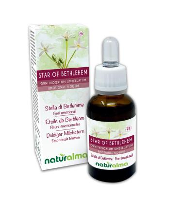 Star of Bethlehem ou toile de Bethl em (Ornithogalum umbellatum) Fleurs motionnelles ou Fleurs de Bach Naturalma - Gouttes 30 ml - Extrait liquide sans alcool - Essences florales - Vegan