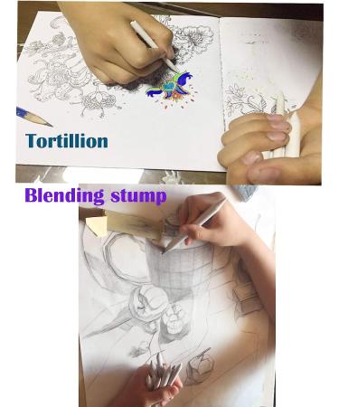 Blending Stumps and Tortillions Set with 2 Pieces Sandpaper Pencil Sharpener  1 Eraser Sketch for Student Sketch Drawing kit (6 pcs +4) - Buy Online on GoSupps.com