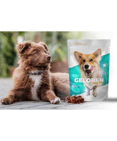 Geloren Small Dog 180 g Complementary mixture of jelly beans for small dogs for joints 60 pieces - Buy Online on GoSupps.com