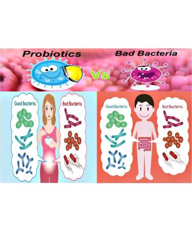 Vegan Sport - 42 Billion Probiotics per Capsule - No Refrigeration Required - Buy Online on GoSupps.com