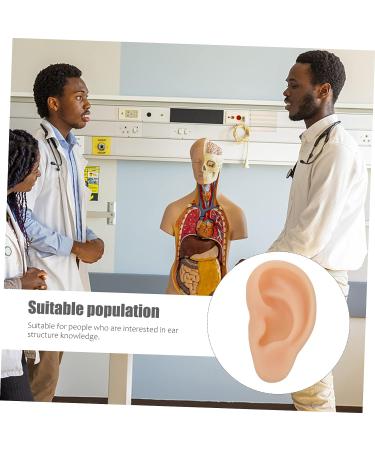 1pc Healvian Silicone Ear Tool - Fake Ear for Practice & Care | Beige Silicone Teaching Model for Ear Supplies - Buy Online on GoSupps.com