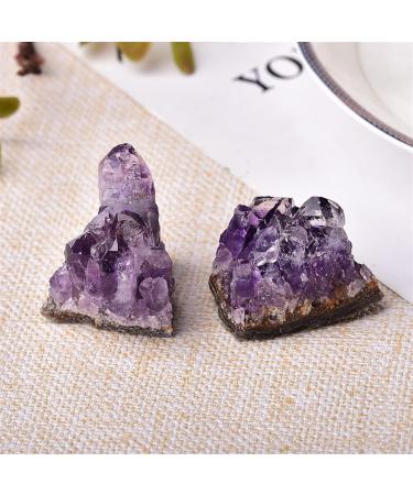 Crystal Rough 1PC Natural Amethyst Crystal Cluster Quartz Raw Crystals Stone Decoration Ornament Purple Stone Ore 1PC Random Delivery - Buy Online on GoSupps.com