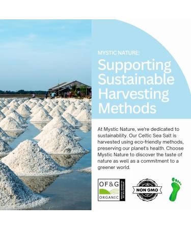 Mystic Nature Celtic Sea Salt - 500g | 100% Organic | Natural Unrefined Mineral Rich Celtic Salt Crystals From France | Rich In Magnesium Calcium Iron Potassium - Buy Online on GoSupps.com