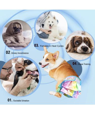 Hisprout Reusable Skirt Diaper for Female Dogs - Washable Durable Puppy Diapers (Size S Mermaid) - Buy Online on GoSupps.com