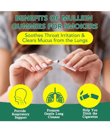 Mullein Gummies for Lungs Detox 2 Pack Mullein Leaf Extract for Lung Cleanse Respiratory & Immune Support Natural Herbal Supplement Vegan Pear Flavor 60 Serving 60 Count (Pack of 2) - Buy Online on GoSupps.com