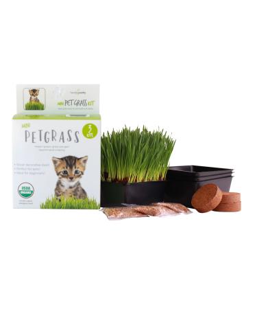 Handy Pantry Organic Cat Grass Kit - Includes 3 Trays, Soil Pucks, and 3 Packs Non GMO Wheatgrass Seed - A Healthy Treat For Cats, Dogs, Rabbits, More