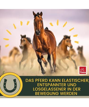 Buy MSM Horse Willow Bark - Equi P Booster with Glucosamine & Chondroitin for Senior Horses | High-Dose Vitamin C & Beer Yeast for Joint Health - Buy Online on GoSupps.com