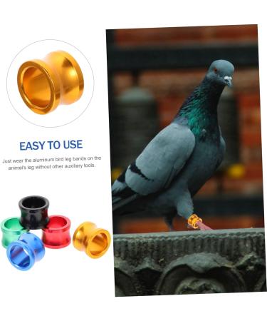 BESPORTBLE 80 Pcs Pigeon Foot Ring Metal Brackets Kickstand Chicken Wite Parrot Pigeon Gear Aluminum Poultry 0.8X0.8X0.8CMx4pcs As Shownx4pcs - Buy Online on GoSupps.com