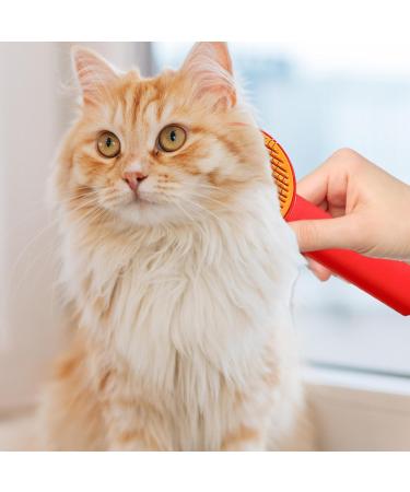 Itrimaka Pet Haircut Tool - Ladybugdhargung Comb & Fur Care Brushes for Long-Haired Pets - Red Depilatory Tools - Buy Online on GoSupps.com