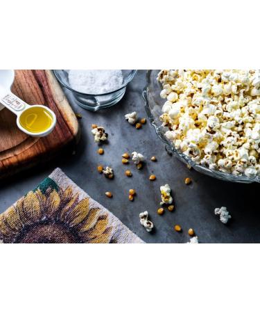 Hopser Food Fun 250 ml popcorn oil with a fine taste of natural butter and convenient for spouting Popcorn - Buy Online on GoSupps.com