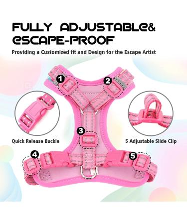 Supet Cat Dishes & Line Set - Perfect Feeding Solution for Kittens | International Shipping Available - Buy Online on GoSupps.com