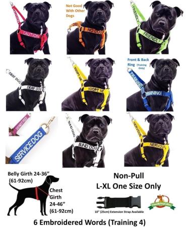 NERVOUS FriendlyDogCollars Colour Coded Dog Accident Prevention Leads 1.2m Prevents Dog Accidents By Letting Others Know Your Dog In Advance Award Winning NERVOUS Yellow - Buy Online on GoSupps.com