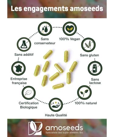 Nopal Bio Extra Strong | Powerful Formula | 180 Vegan Capsules | Premium Quality - Buy Online on GoSupps.com