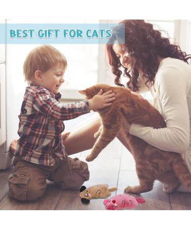 Apricitie 6-Pack Catnip Plush Toys for Cats | Soft Kitten Catnip Toys | Best Cat Toys for Playtime - Buy Online on GoSupps.com