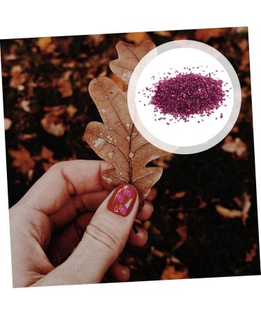 SKISUNO 1 Glass Chip DIY Fillers Epoxy Filling DIY Glass Fillers Nail Art Charms Epoxy Charms Glass Epoxy Fillers Manicure Fillers Glass Charms Filling Nail Crushed Glass DIY Charm Fillers 0.5X0.3cm Rosy - Buy Online on GoSupps.com