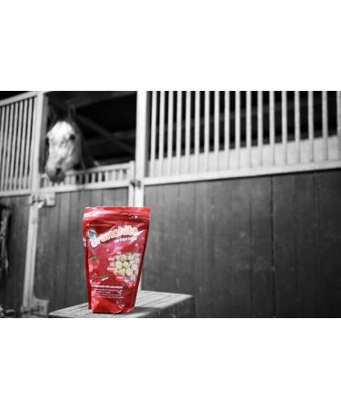 Equilibrium Crunchits Berries & Cherries - Buy Online on GoSupps.com