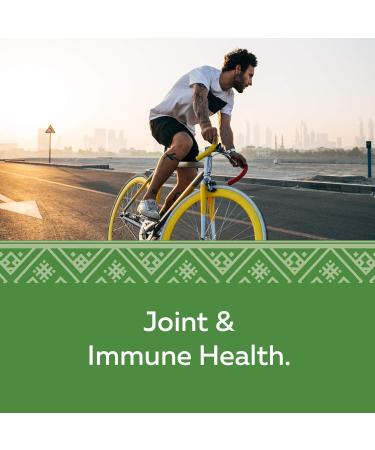 Nature's Way Cat s Claw Health Supplement 100 Count - Buy Online on GoSupps.com