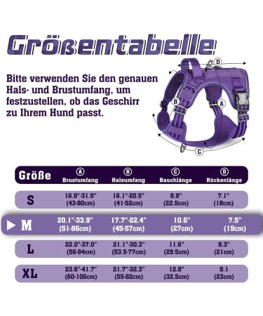 Rabbitgoo Adjustable Dog Harness for Medium Dogs - Durable Tactical Wear-Resistant with Metal Buckles & Handles - Perfect for Hiking (Purple M) - Buy Online on GoSupps.com