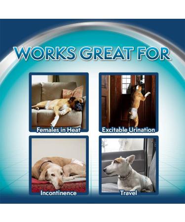 Buy Simple Solution Disposable Dog Diapers for Bitches - Super Absorbent & Spout-Safe Fit - Watine Indicator 12 Pack Extra-Small - Buy Online on GoSupps.com