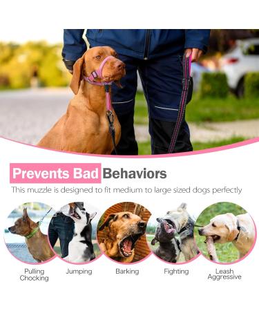 Adjustable No-Pull Muzzle Halter for Dogs - Padded Design for Comfort (Small Pink) | Weesiber - Buy Online on GoSupps.com