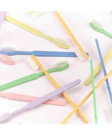 Dr. Bauer's 100 Pack Disposable Toothbrushes with Toothpaste | Eco-Friendly Travel & Hotel Toiletries | Sustainable Colors: Violet Green Blue Red - Buy Online on GoSupps.com