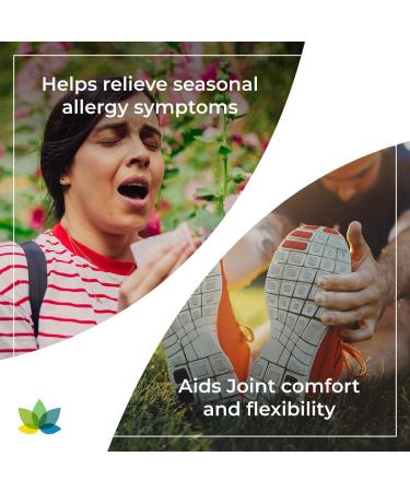 Synergy Holistics | Inflame Ease Synergy - Joint Pain & Seasonal Allergy Relief - NRF2 Supplement - Curcumin C3 Complex Quercetin Trans-Resveratrol Nettle Rosemary - 9 Synergistic Anti-Inflammatory Ingredients -100 Veg Caps - Buy Online on GoSupps.com