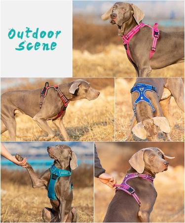 Truelove No Pull Dog Harness - Reflective Adjustable Soft Padded Vest for XL Dogs | TLH56512 Purple - Buy Online on GoSupps.com