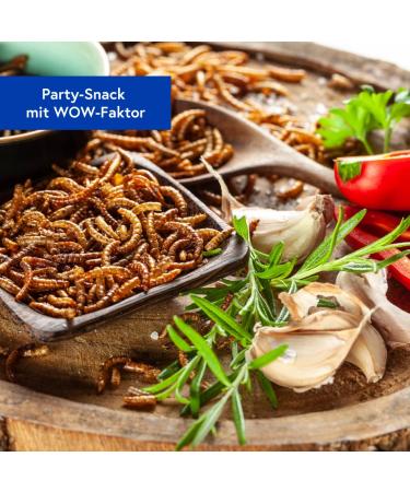 Sensible Insect Snack | Roasted Mealworm Protein & Crunchy Party Mix | Unique Grilling Gift Idea - Buy Online on GoSupps.com