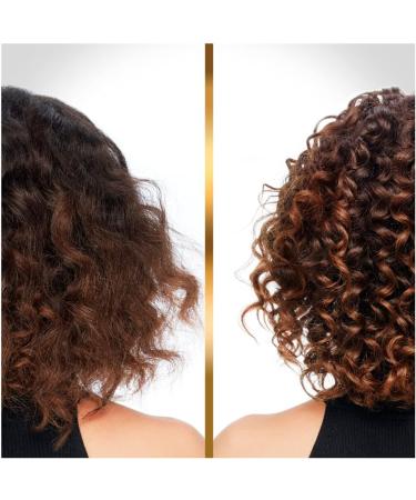 Hair Biology Anti-Frizz Shampoo for Dry & Colored Hair | Illuminate & Soothe Menopause Hair Care - Shop Now - Buy Online on GoSupps.com