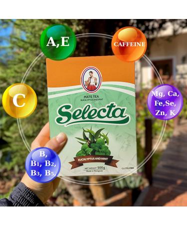 Eno Bronstrup Selecta Yerba Mate Tea Eukalyptus Mint 05 kg + Gift Sample 40g Rich in antioxidants and vitamins accelerates metabolism sugarfree Paraguay Eucalyptus Mint 05 kg - Buy Online on GoSupps.com