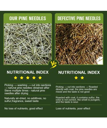 Organic Dried Pine Needle Tea Bags - 30 Natural Caffeine-Free Triangle Teabags for Immunity Support - Buy Online on GoSupps.com