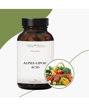 Alpha-Lipoic Acid 500mg - Non-GMO - Boost Energy & Mitochondria Support - 120 Servings (4 Months Supply) - International Shipping Available - Buy Online on GoSupps.com