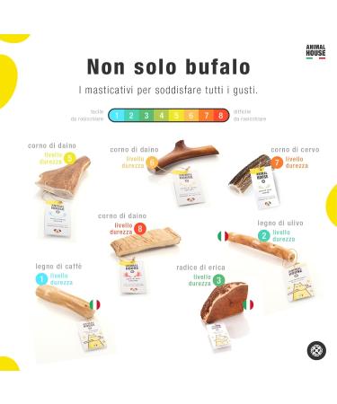 Animal House - Buffalo Horns for Dogs - Natural - Strengthens Oral Hygiene - Durable and Long Lasting - Available in All Sizes - Cruelty Free (1 M) - Buy Online on GoSupps.com