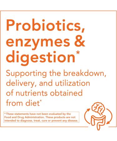 NOW Organic Inulin Powder - 8-Ounce | Premium Dietary Fiber for Gut Health | Buy Organic Superfoods Online - International Shipping Available - Buy Online on GoSupps.com