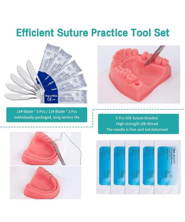 LVCHEN Dental Oral Practice Kit - 25 Pcs Set for Dentist & Student Training - Buy Online on GoSupps.com