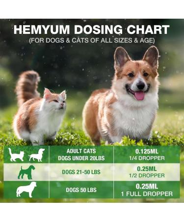 Pet Oil for Dogs and Cats Natural Pet Oil Gluten Free HYHOP04 - Buy Online on GoSupps.com