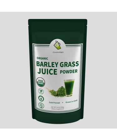 Celeryjus Organic Barley Grass Juice Powder Cold Pressed Utah Grown 16 oz GMO Free