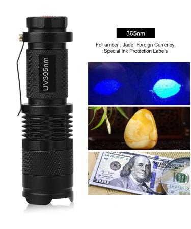 Ultraviolet LED Flashlight for Pet Urine Stain Detection & Bed Bug Finder - Battery Not Included - Buy Online on GoSupps.com