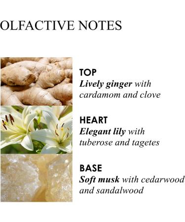 Molton Brown Heavenly Gingerlily Hand Cream 40 ml - Buy Online on GoSupps.com