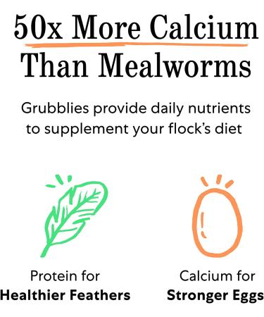 Grubblies Natural Grubs for Chickens - High Calcium Black Soldier Fly Larvae Supplement for Healthy Hens - Buy Online on GoSupps.com