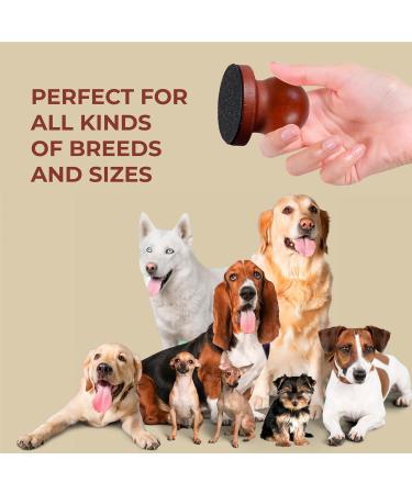 BEANPRECOY Dog Nail File with 8pcs Sandpaper Dog Nail Scratch Board Dog Nail Grinder Wooden Replaceable Sandpaper Dog Nail Trimmers for Polishing Cat and Dog Nails - Buy Online on GoSupps.com
