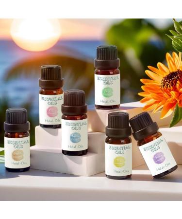 Hotel Scent Essential Oil Set | 6 x 0.33 fl. oz Aromatherapy Oils for Diffusers Car Freshies Candle Making & DIY Blends - Buy Online on GoSupps.com
