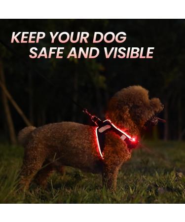 LED Dog Harness for Small & Medium Dogs - Rechargeable Reflective Lightweight & Breathable - Black/Red XS - Buy Online on GoSupps.com