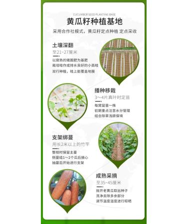 Natural Cucumber seed powder 500g/can fruit vegetable juice Ready-to-Eat Cucumber porridge Vegan vegetable soup powder convenient Healthful and Nutritious cereals Instant food substitute paste (5can) - Buy Online on GoSupps.com