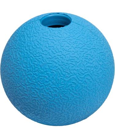 Amazon Basics Supreme Rubber Dog Play Balls - 6.4 cm (3-Pack) in Blue & Orange | Durable Dog Toys for International Shipping - Buy Online on GoSupps.com