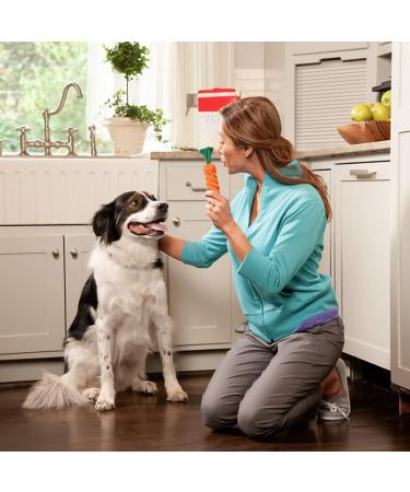 Vesaneae 2 Pack Dog Toys - Interactive Carrot & Rope Toys for Small to Medium Dogs | Tooth Cleaning & Puppy Play - Buy Online on GoSupps.com