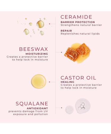 Guava Lip Balm Hydrating for Dry Lips - Natural Lip Moisturizer with Beeswax Squalane & Castor Oil Protects Lip Barrier Lip Care for Chapped Lips Lip Repair - 0.15 Fl oz Guava Small - Buy Online on GoSupps.com